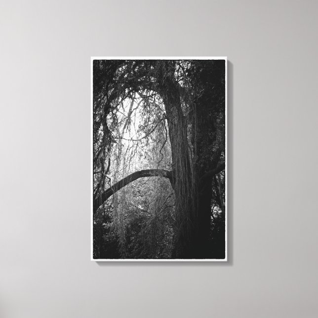 Moody Willow Träd Black and White Ligcape Photo Canvastryck (Framsida)