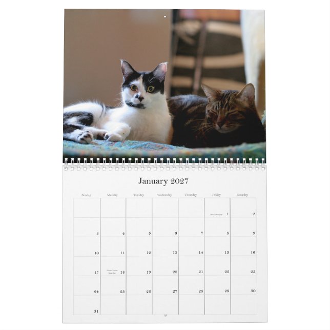 Mooki & Kiko 2009 Kalender (Jan 2027)