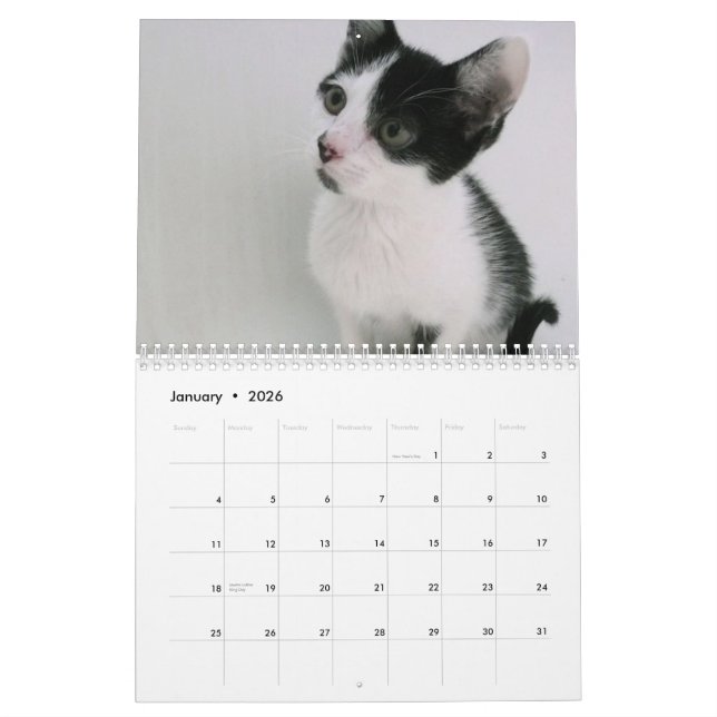 Mooki & Kiko Kalender (Jan 2026)