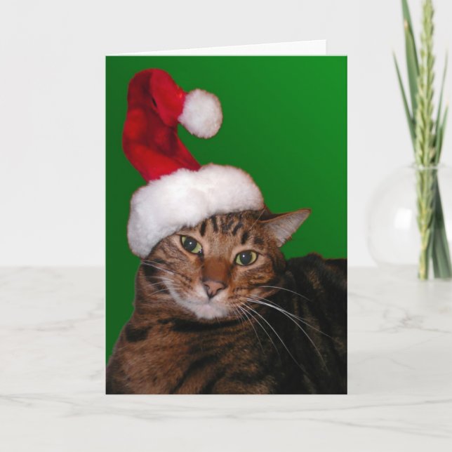 Mooki Santa - tomt kort (Framsida)