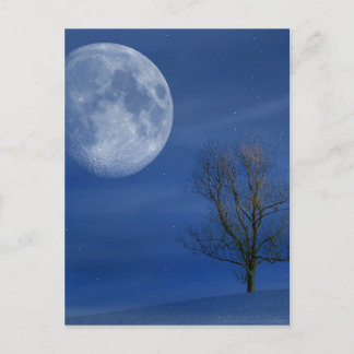 MOON NIGHT POSTCARD VYKORT