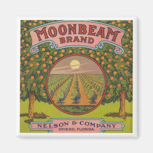 Moonbeam Brand Vintage Citrus-etikett Magnet