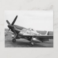 "Moonbeam McSwine" P51 Mustan, USAAF WW2