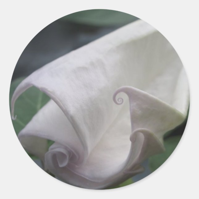 Moonblomma Runt Klistermärke (Framsida)