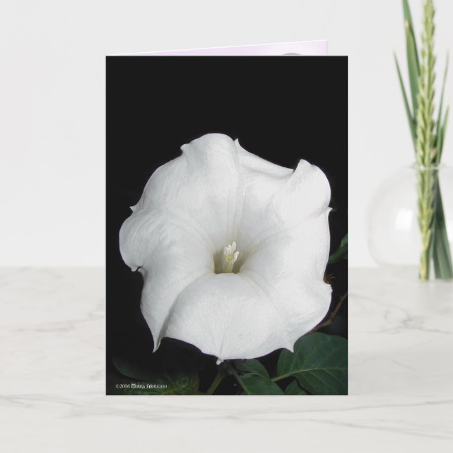 MoonFlower Kort (Framsida)
