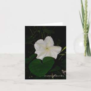 moonflowernotecard kort