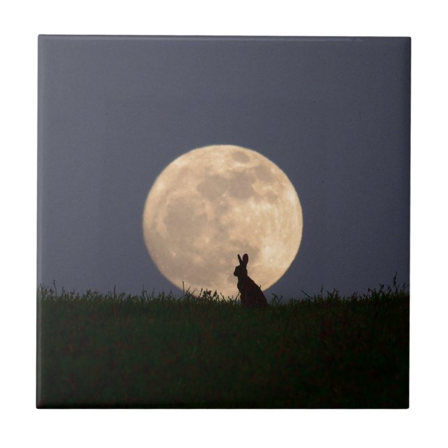 Moongazer.JPG Kakelplatta (Framsidan)