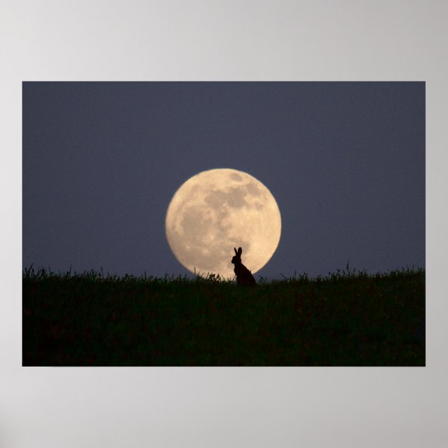 Moongazer Poster (Framsidan)