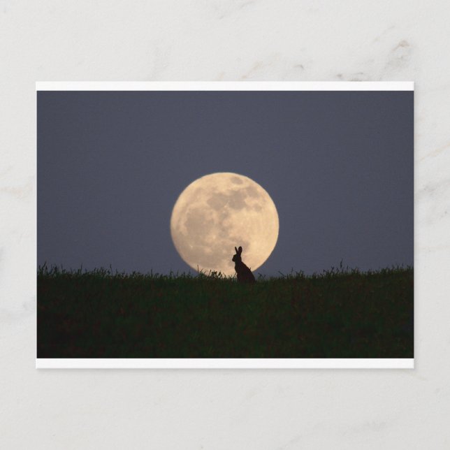 Moongazer Vykort (Framsida)