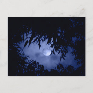 Moonglow Vykort