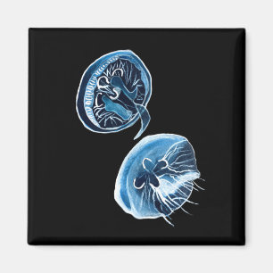 MoonJellyfish vattencolor art Magnet