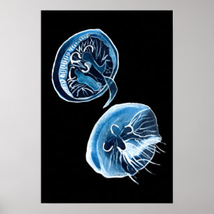 MoonJellyfish vattencolor art Poster