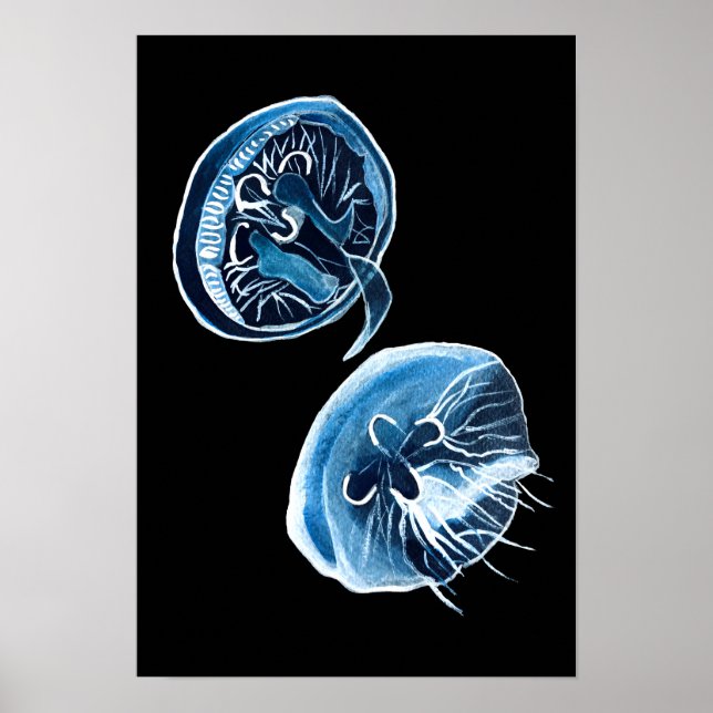 MoonJellyfish vattencolor art Poster (Framsidan)