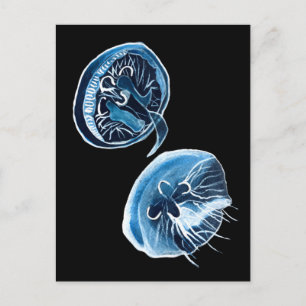 MoonJellyfish vattencolor art Vykort
