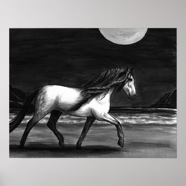 Moonlight Andalusion Poster (Framsidan)