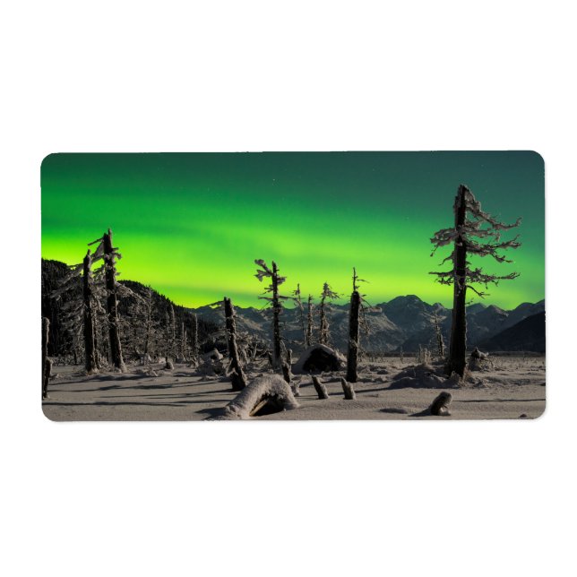 Moonlight Aurora Fraktsedel (Framsidan)