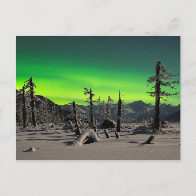 Moonlight Aurora Vykort (Framsida)