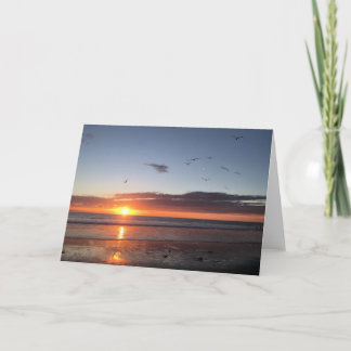 Moonlight Beach Sunset Kort