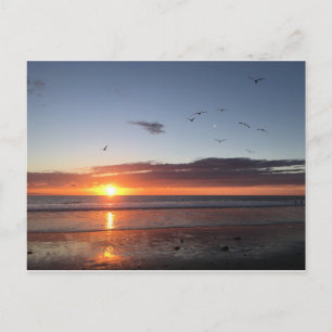 Moonlight Beach Sunset Vykort