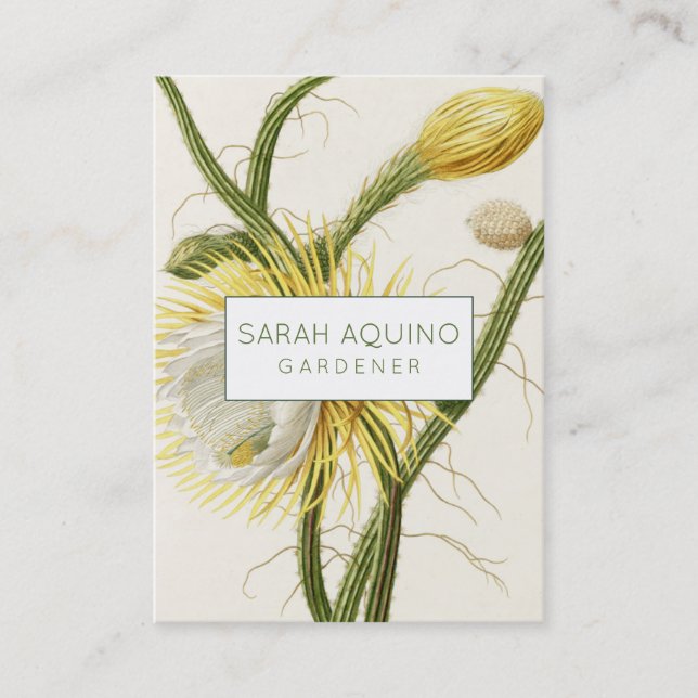 Moonlight Cactus Visitkort (Framsida)