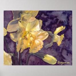 Moonlight Daffodils Watercolor Poster Skriv ut
