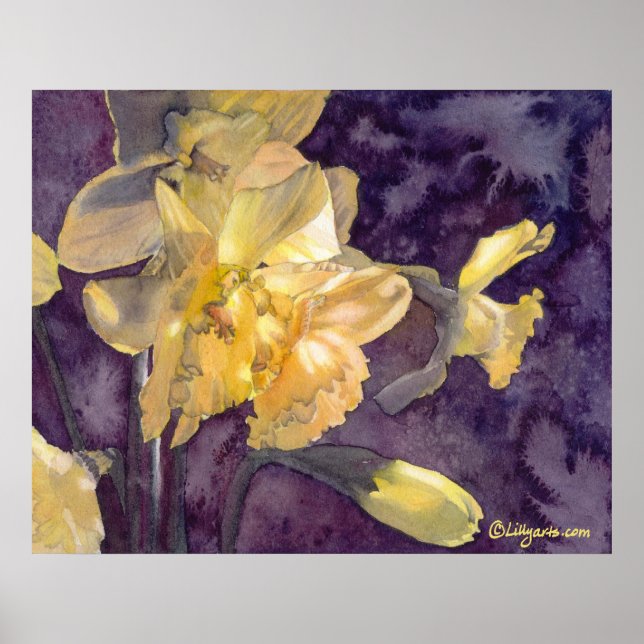 Moonlight Daffodils Watercolor Poster Skriv ut (Framsidan)