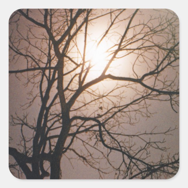 Moonlight Dream Fyrkantigt Klistermärke (Framsida)