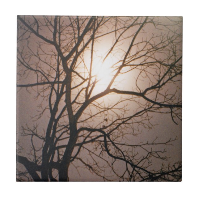 Moonlight Dream Kakelplatta (Framsidan)