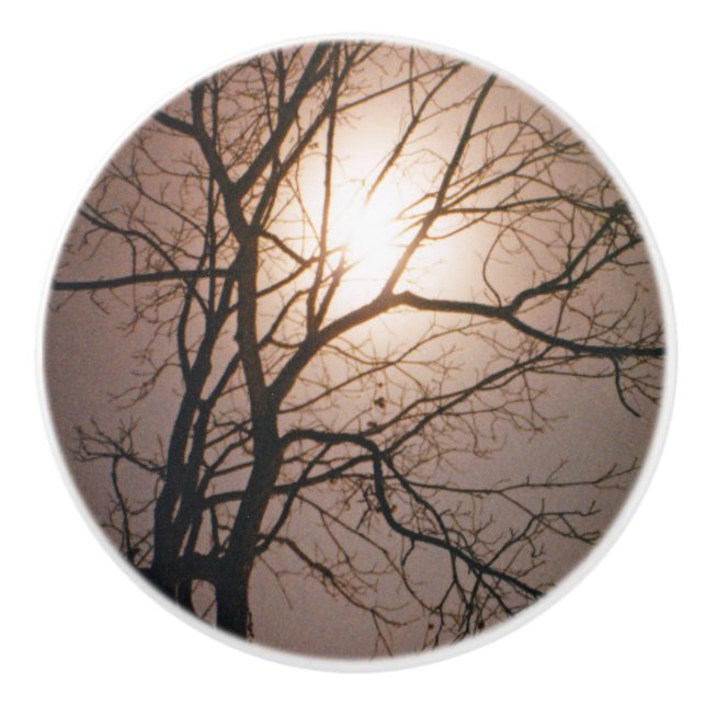 Moonlight Dream Knopp (Framsidan)