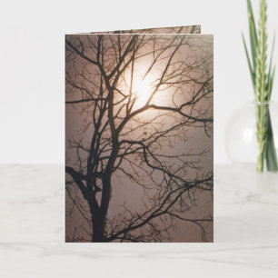 Moonlight Dream Kort