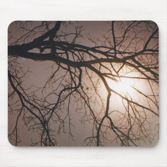 Moonlight Dream Musmatta (Framsidan)