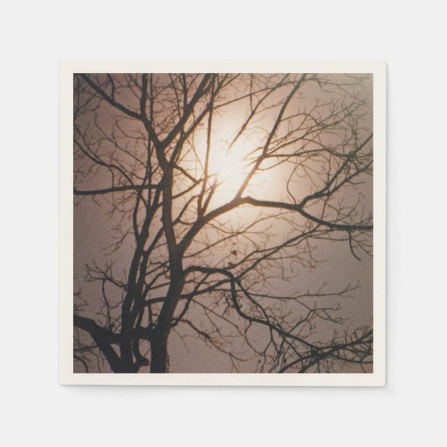 Moonlight Dream Pappersservett (Framsidan)