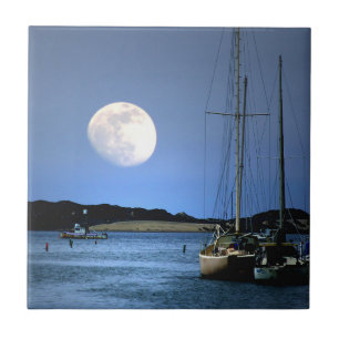 Moonlight Harbour Art Tile Kakelplatta