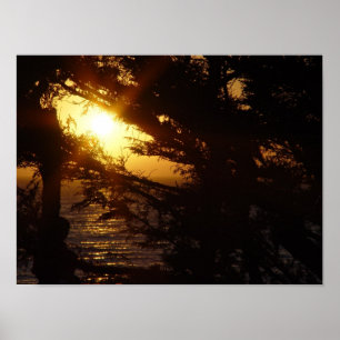 Moonlight i Moonstone Beach Poster