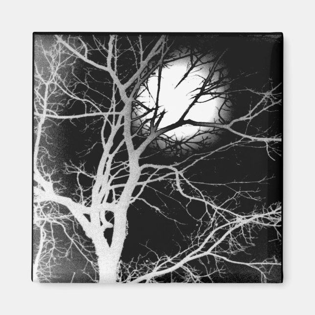 Moonlight Magnet (Framsidan)