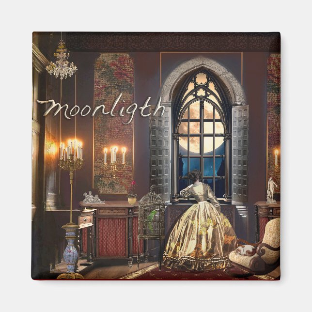 Moonlight Magnet (Framsidan)