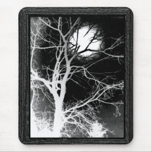 Moonlight Musmatta