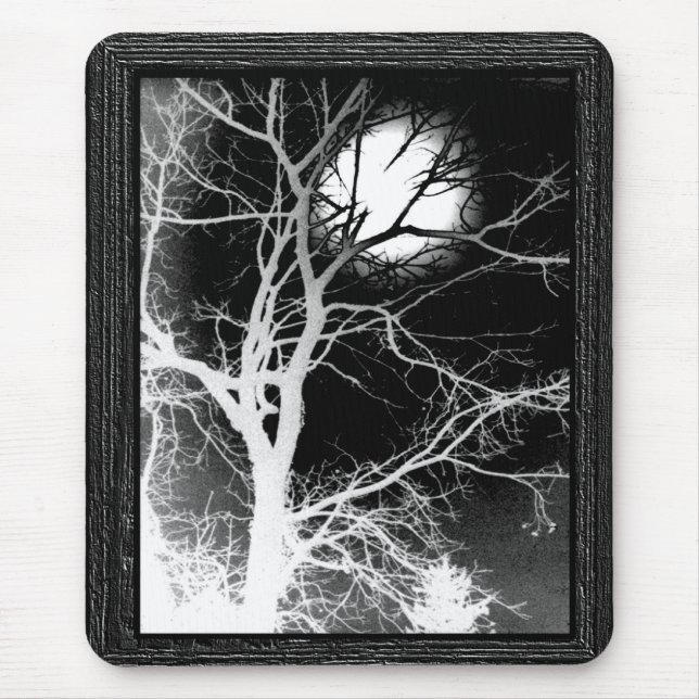 Moonlight Musmatta (Framsidan)