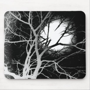 Moonlight Musmatta