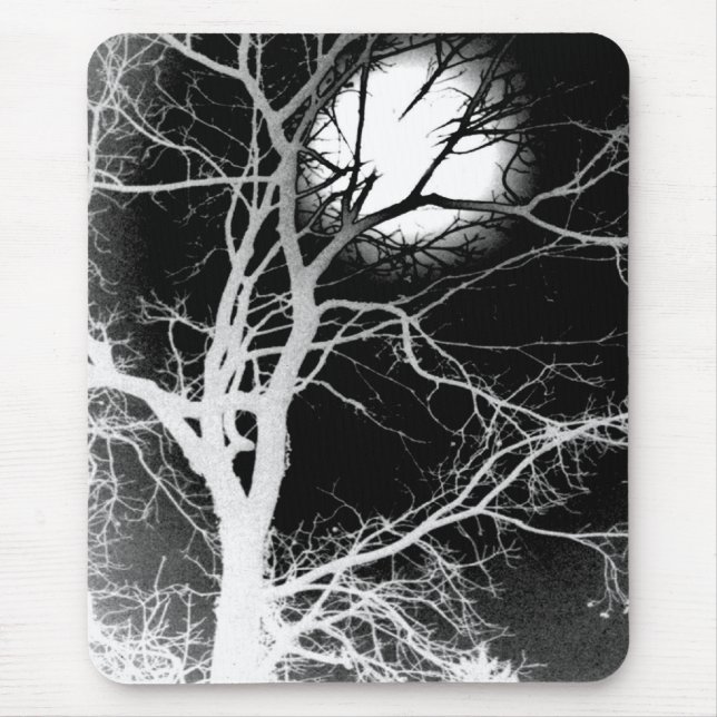 Moonlight Musmatta (Framsidan)