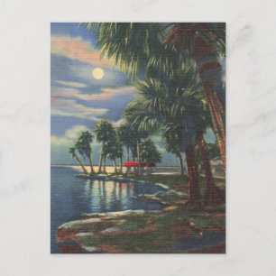 Moonlight over Florida Tropical Vatten Vykort