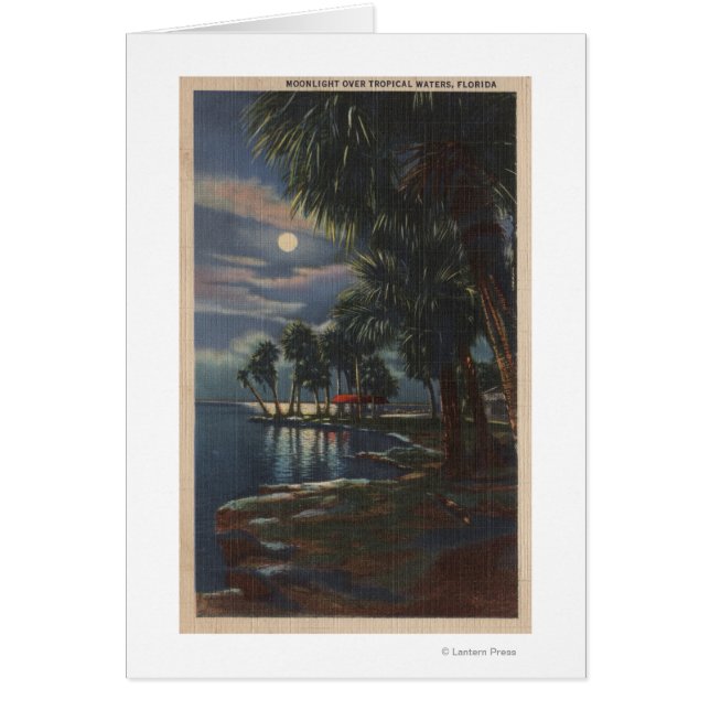 Moonlight på en Florida BeachFlorida Hälsningskort (Framsidan)