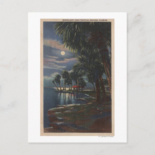 Moonlight på en Florida BeachFlorida Vykort (Framsida)
