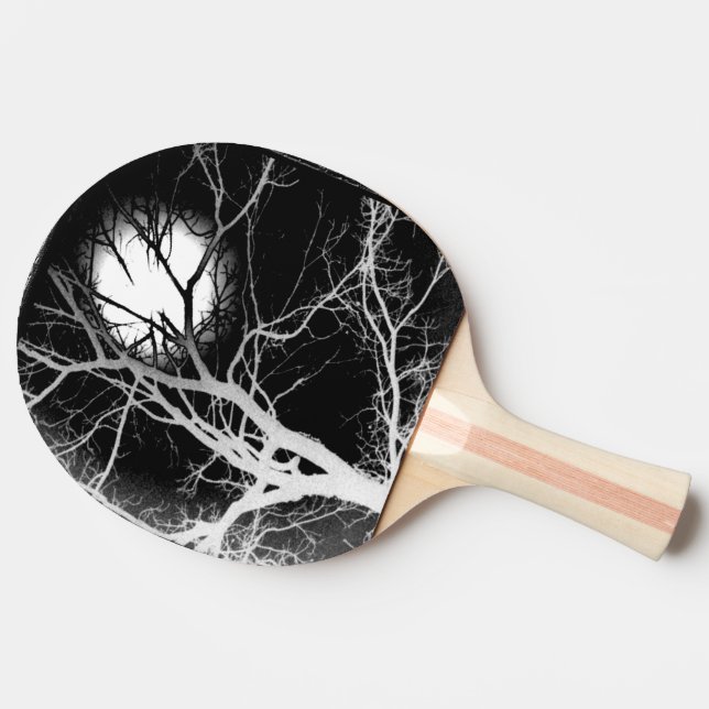 Moonlight Pingisracket (Sidan)