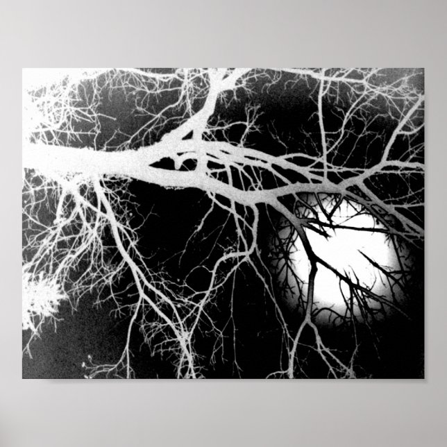 Moonlight Poster (Framsidan)