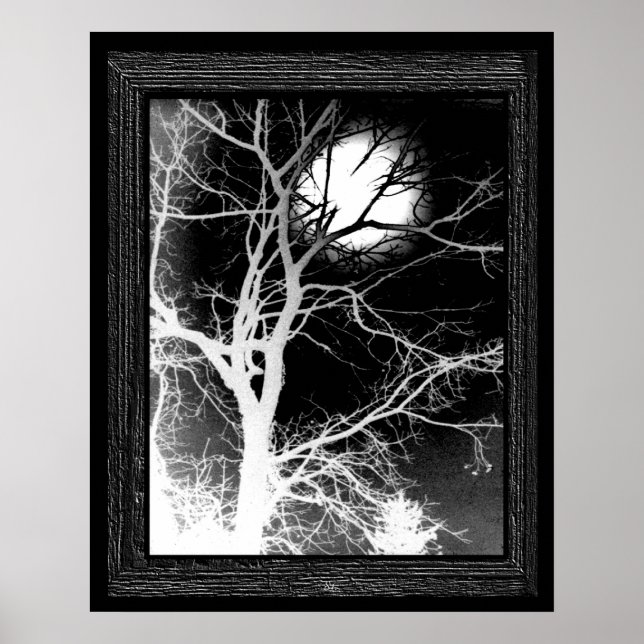 Moonlight Poster (Framsidan)