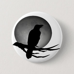 moonlight raven knapp