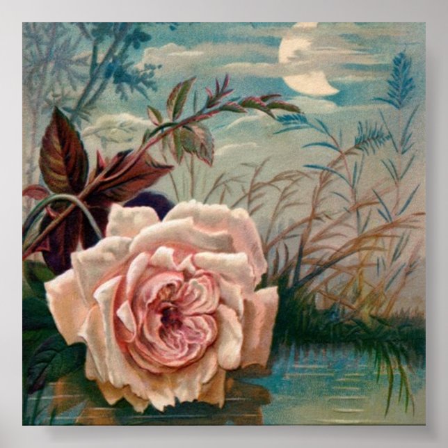 Moonlight Ro Sergranat Poster (Framsidan)