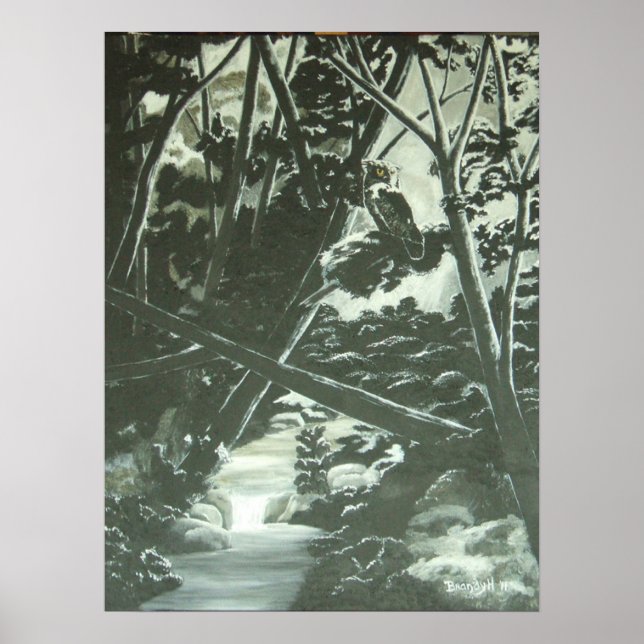 Moonlight Shadows Poster (Framsidan)