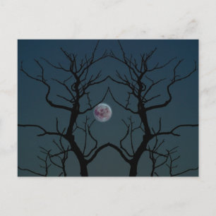 Moonlight Träd Silhouette Vykort
